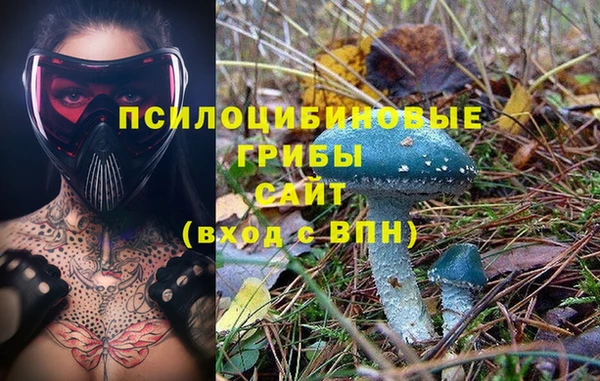 эйфоретик Аркадак