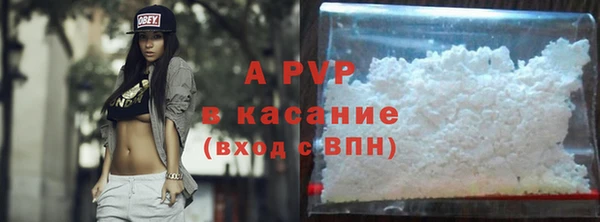 эйфоретик Аркадак