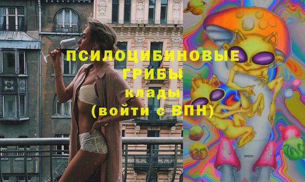 шишки Балабаново