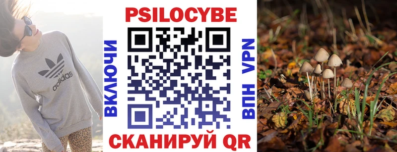 Галлюциногенные грибы Cubensis  omg   Скопин 