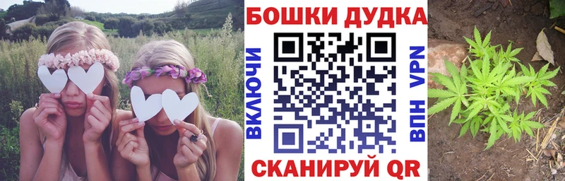 Каннабис планчик  Скопин 